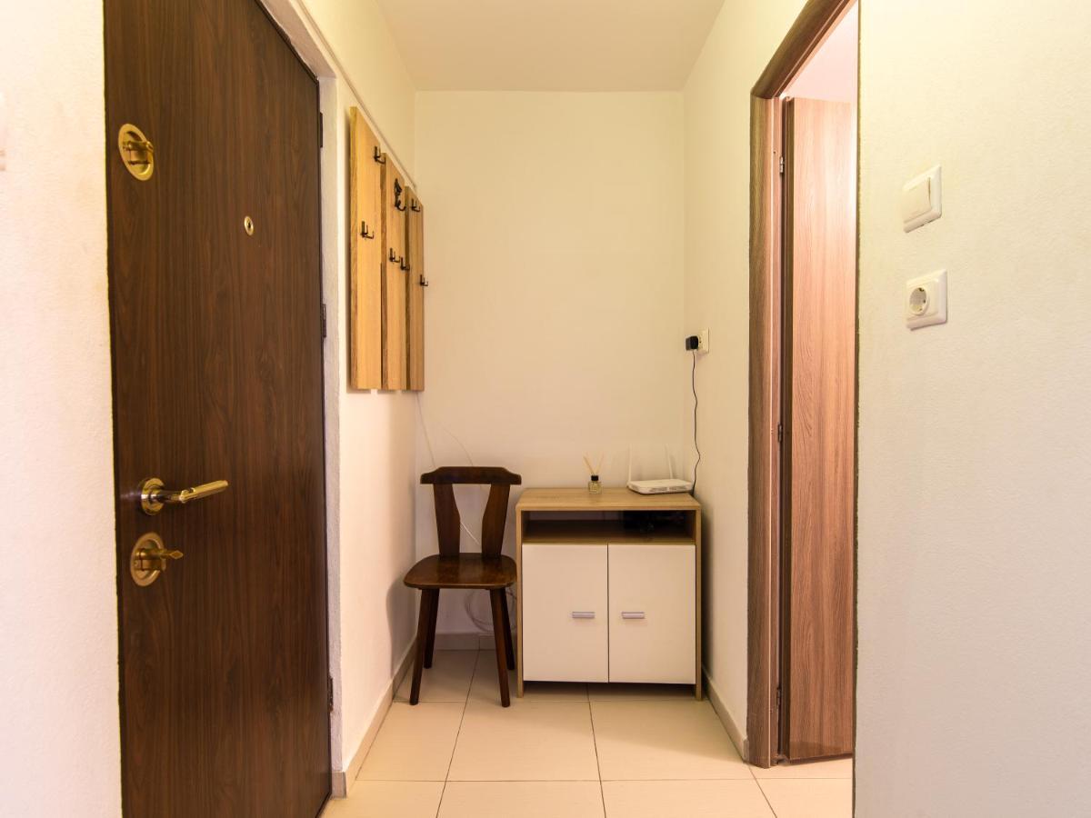 Ionita Apartament シビウ エクステリア 写真