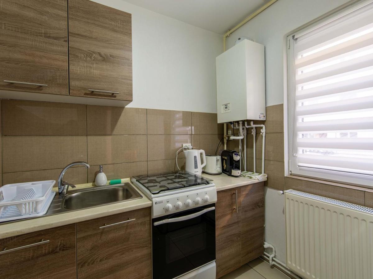 Ionita Apartament シビウ エクステリア 写真